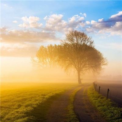 半岛官网入口网页版下载手机版